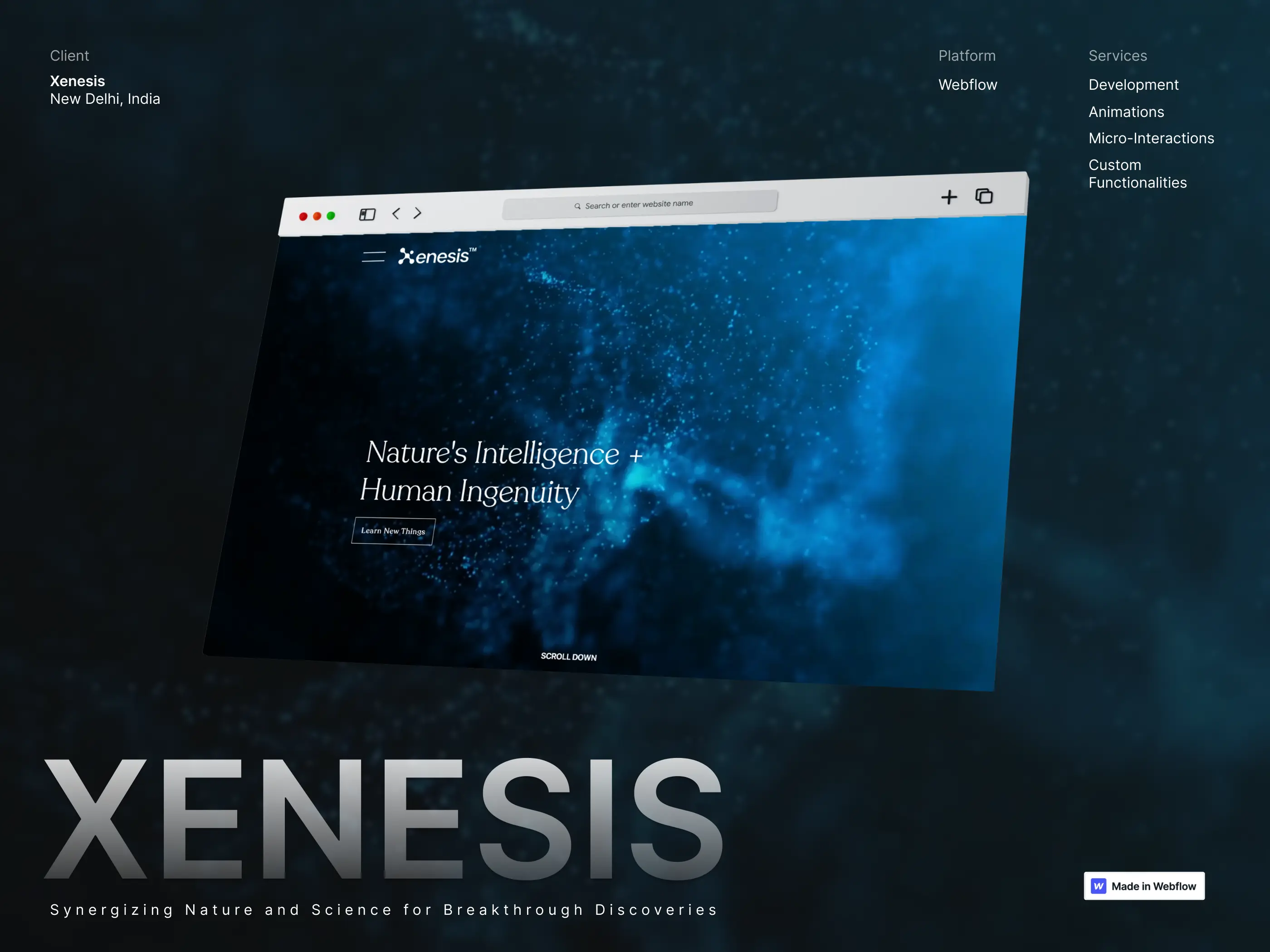 Xenesis